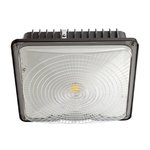 Canopy LED