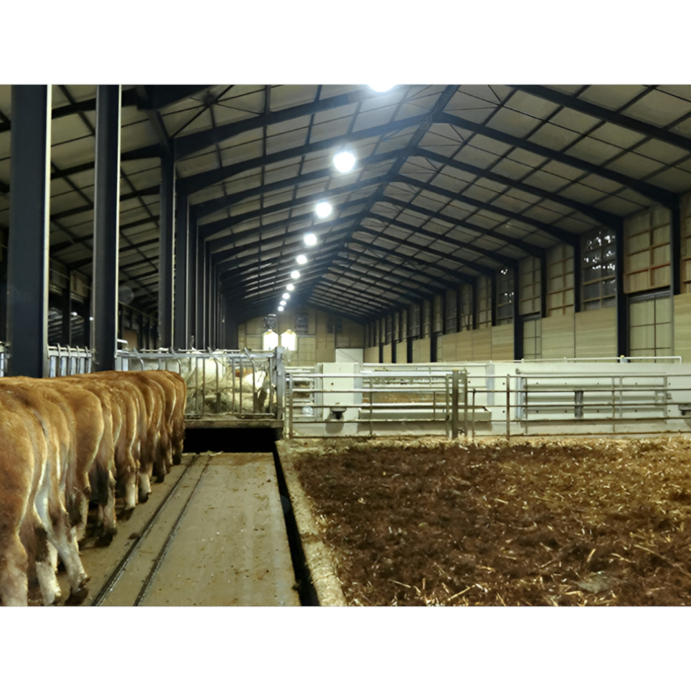 éclairages LED agricole
