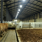 LED Barn Light