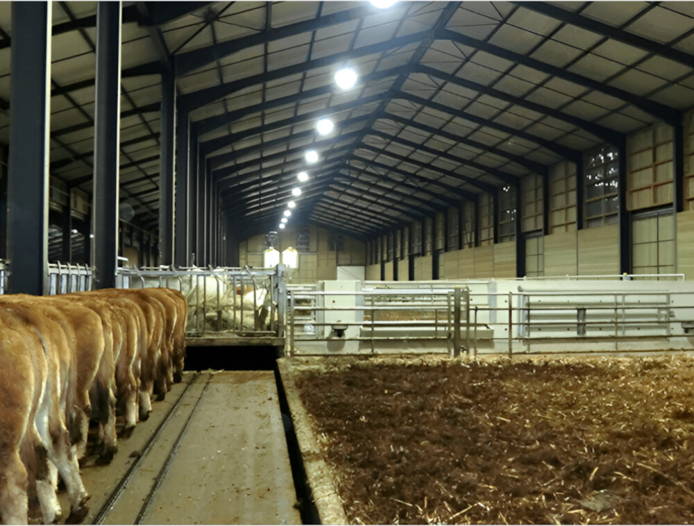 LED Barn Light