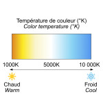 Color temperature: Warm white or Cool white