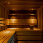 LED sauna lights