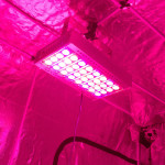 LED greenhouse lights