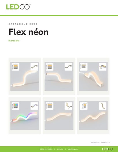 Flex néon