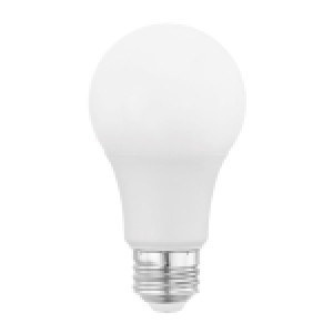 AMPOULE LED A19 17W