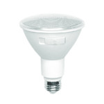 LED BULB PAR30 12W 5CCT