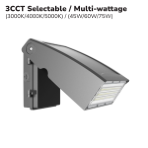 WALL PACK LED AJUSTABLE 45W-50W-75W