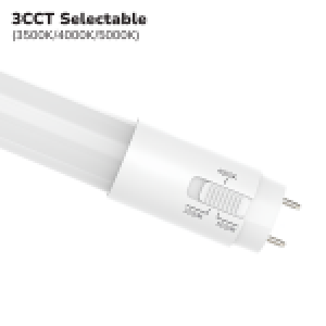 TUBE LED T8 3CCT 2' - 8W