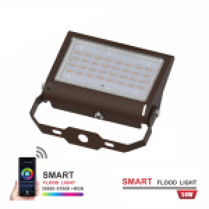 PROJECTEUR LED EXTÉRIEUR RGBW 50W