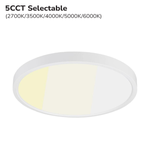 12" 24W 5CCT DIMMABLE LED CEILING LIGHT